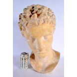 A LARGE CLASSICAL PLASTER BUST OF A MALE After the Antiquity. 44 cm x 18 cm.