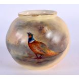 Royal Worcester vase painted with a pheasant by Jas. Stinton, signed, shape 161G , date mark 1906.