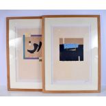 A PAIR OF FRAMED LIMITED EDITION MIXED MEDIA PICTURES. 60 cm x 40 cm.