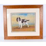 A FRAMED OIL ON BOARD C1930 depicting a spaniel. 33 cm x 44 cm.