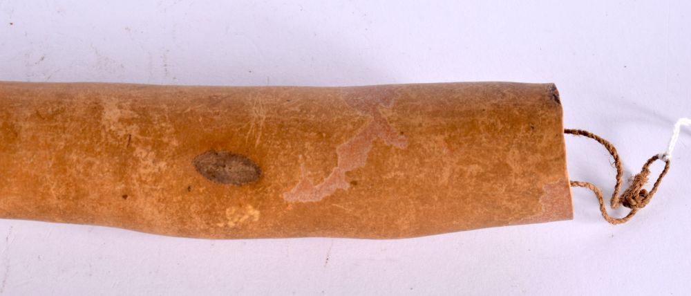 A VINTAGE PAPUA NEW GUINEA TRIBAL PENIS SHEATH. 52 cm long. - Image 3 of 4