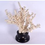 A VINTAGE CORAL SPECIMEN 34 cm x 22 cm.