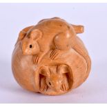 A CONTEMPORARY CARVED BOXWOOD NETSUKE modelled overlaid with mice. 4 cm x 3 cm.