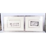 A PAIR OF FRAMED ENGRAVINGS by Mary Eisman. 13 cm x 23 cm.