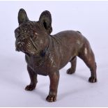 A JAPANESE BRONZE BULLDOG. 7 cm x 5 cm.