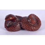 A JAPANESE CARVED WOOD SNAKE NETSUKE. 5 cm wide.