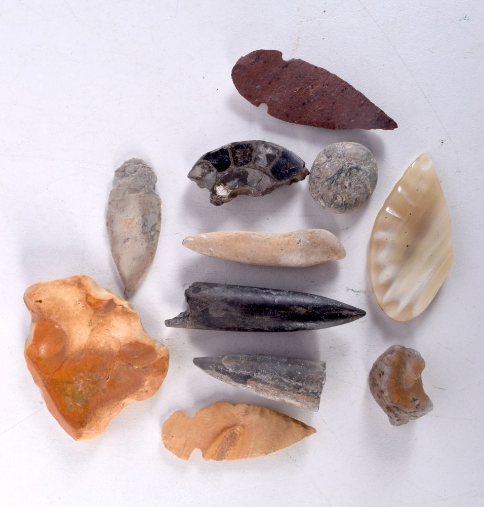 A collection of projectile points and other artifacts largest 6 cm (11).