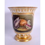 19th century Coalport vase painted with shells and feathers probably by Thomas Baxter. 13cm high
