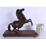 A LARGE 19TH CENTURY EUROPEAN BRONZE FIGURE OF A REARING HORSE modelled upon a oak plinth. 28 cm x 2