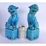 A LARGE PAIR OF 19TH CENTURY CHINESE TURQUOISE GLAZED DOGS OF FOE Qing. 30 cm high.