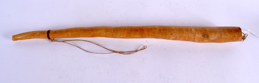 A VINTAGE PAPUA NEW GUINEA TRIBAL PENIS SHEATH. 52 cm long. - Image 2 of 4