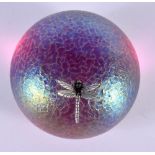 A LOVELY IRIDESCENT DRAGON FLY GLASS PAPERWEIGHT. 7.5 cm wide.