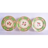 A SET OF THREE EARLY 19TH CENTURY ENGLISH PORCELAIN PLATES decorated with raised green enamels and r