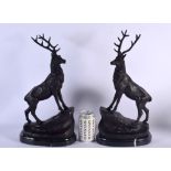 A LARGE PAIR OF CONTEMPORARY BRONZE STAGS. 42 cm x 18 cm.