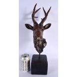 A CONTEMPORARY BLACK FOREST STYLE BUST OF A REGAL STAG. 44 cm high.