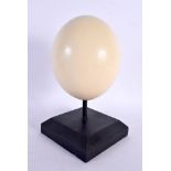 AN OSTRICH EGG SPECIMEN 24 cm high.