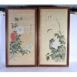 Chinese School (19th Century) Pair, Watercolour, Insects and foliage. 75 cm x 34 cm.
