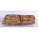 A PREHISTORIC PETRIFIED WOOD SPECIMEN 24 cm x 7 cm.