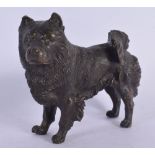 A 19TH CENTURY AUSTRIAN COLD PAINTED BRONZE FIGURE OF A DOG modelled upon all fours. 12 cm x 10 cm.