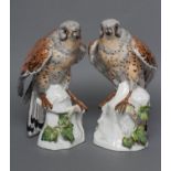 A PAIR OF SAMSON PORCELAIN KESTRELS, late 19th century, realistically modelled, one perched upon a