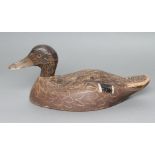 A DECOY BLACK DUCK, possibly by Jesse Baker of Trenton-Ontario, of two piece wood construction,