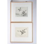 WINIFRED M L AUSTEN (1876-1964), Mallards and Teal in Flight, a pair, dry point, etchings