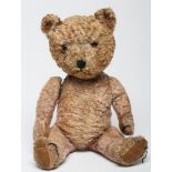 A musical pink teddy, with curly plush with remnants of colour particularly within swivel joints,