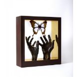 LORENZO QUINN (b.1966), "Hands and Butterfly", bronzed resin and gilt metal, in composition frame,