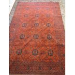 AN AFGHAN RUG, modern, the red field with repeating stylised flower pattern in navy blue, ivory