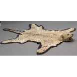 A TAXIDERMY LEOPARD SKIN HEAD RUG, early 20th century, classic rug mount with open snarling mouth,
