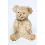 A Farnell white mohair teddy, with amber glass eyes, orange sewn nose, jointed body and felt pads,