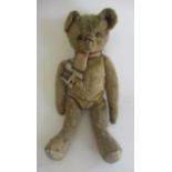 An early shoe button eye teddy, with sewn nose, yellow plush, jointed body and leather pads, 15"