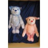 A boxed Steiff teddy bear set "Hello 2000 Good-Bye 1999" containing a blue and a pink bear, both