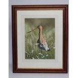 MICHAEL DEMAIN (b.1958), Redshank in a Meadow, gouache, signed, 15" x 11", stained frame (subject to