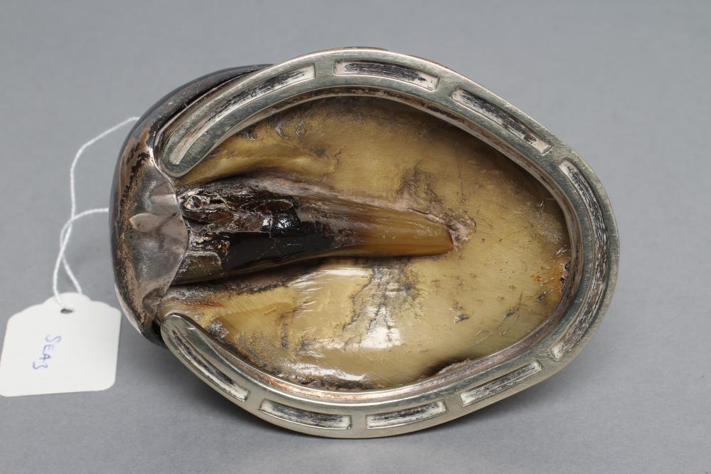 AN EDWARDIAN HORSE HOOF INKWELL/MATCH HOLDER, maker George Ernest Hawkins, Birmingham 1905, the - Image 4 of 4