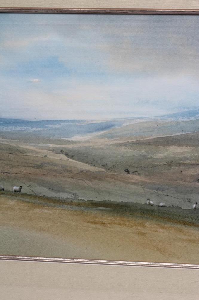 BRIAN IRVING (1931-2013), Sheep Grazing on the Moors, watercolour, pen and gouache, signed, 10 1/ - Image 6 of 6