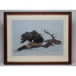 MICHAEL DEMAIN (b.1957), Golden Eagle on a Fallen Stag, gouache, signed, 21 1/2" x 30 1/2",