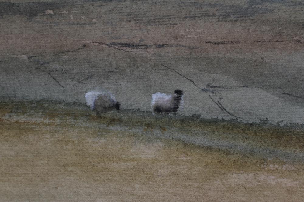 BRIAN IRVING (1931-2013), Sheep Grazing on the Moors, watercolour, pen and gouache, signed, 10 1/ - Image 5 of 6