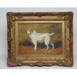 BRITISH SCHOOL (20th Century), Portrait of the Terrier "Billy", oil on board, indistinctly signed