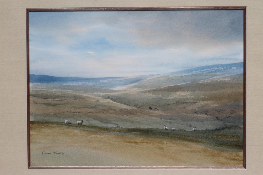 BRIAN IRVING (1931-2013), Sheep Grazing on the Moors, watercolour, pen and gouache, signed, 10 1/ - Image 2 of 6