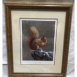 Robert E Fuller Ltd Edition print, Squirrel Nutkin, signed lower right. 463/850. Print 38.5 x