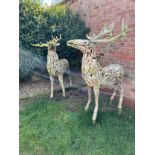 A pair of large driftwood art deer figures. 145cm h to antler x 130cm l approx.