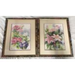 Pair of Julia Gibson framed watercolour paintings. Petunias and Clematis Bees Jubilee, picture