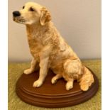 Border Fine Arts 'Dogs Galore' The Golden Retriever. . DG29 17 x 12cm.Condition ReportGood