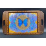 A two handled wooden tray with inlaid edging and a glazed centre panel with iridescent butterfly