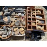 A quantity of fossils and stones.