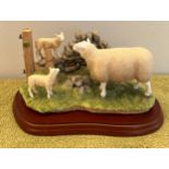 Border Fine Arts 'Farming Today' Texel Ewe & Lambs A8951. With box. 23 x 14cm.Condition ReportGood