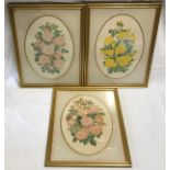 Set of three prints by Joanna A Lowe depicting bouquets of roses.Condition ReportGood condition