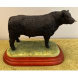Border Fine Arts 'Galloway Bull' (Black) Cattle Breeds A2692. With box. 18.5 x 10cm.Condition