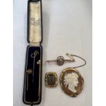 Jewellery to include 3 stick pins, bar brooch with pearl, shell cameo brooch and mourning brooch,
